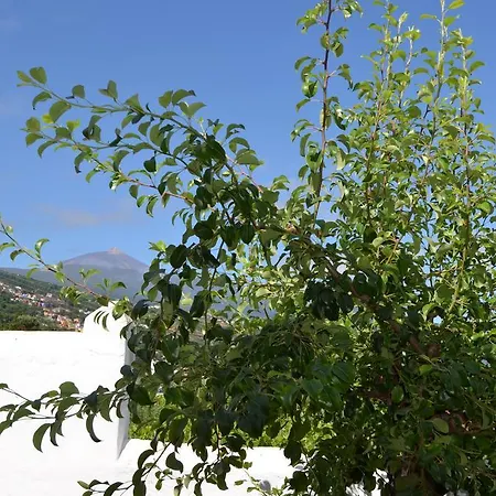 Holiday home La Abejera