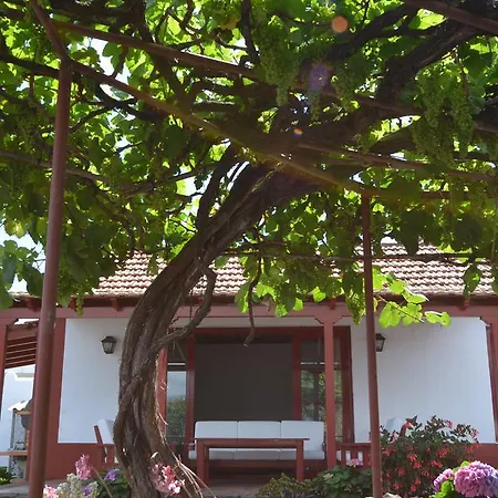 Holiday home La Abejera La Orotava